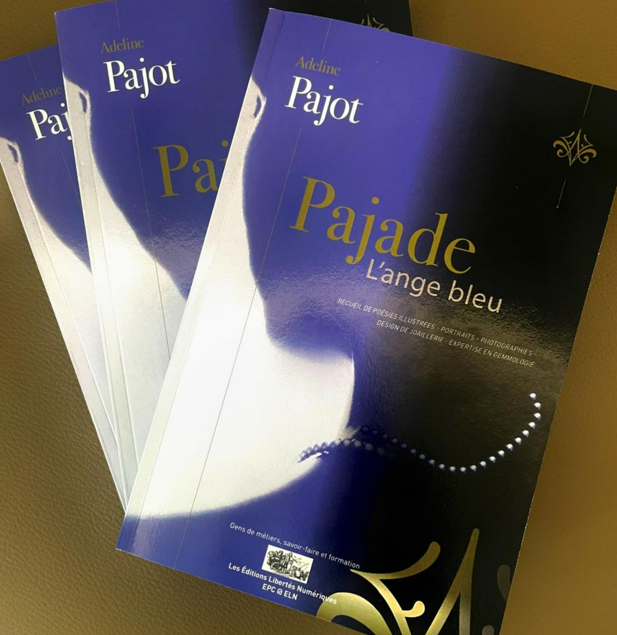 Mon premier ouvrage - L'ANGE BLEU